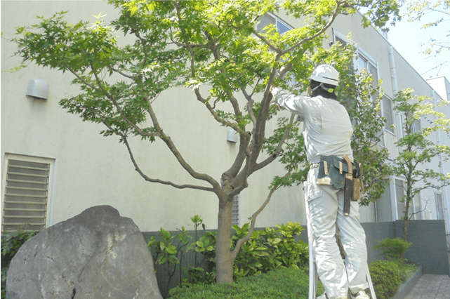 新築戸建を買う
